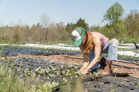 Pour une agriculture québécoise écologique, collective et durable